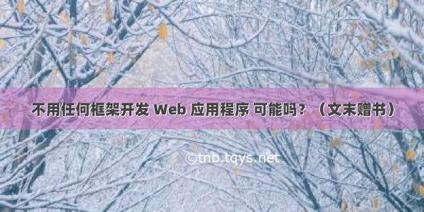 不用任何框架开发 Web 应用程序 可能吗？（文末赠书）