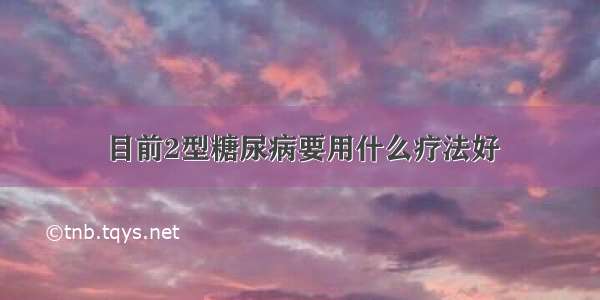 目前2型糖尿病要用什么疗法好