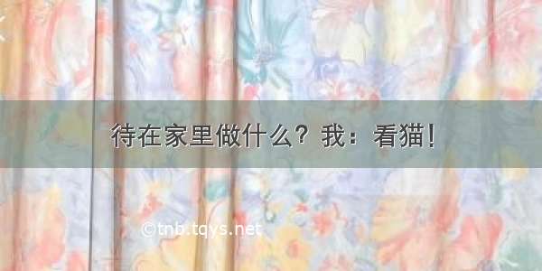 待在家里做什么？我：看猫！