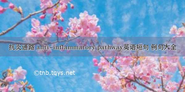 抗炎通路 anti-inflammatory pathway英语短句 例句大全