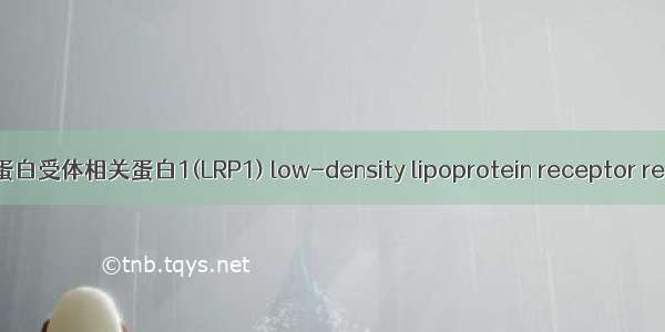 低密度脂蛋白受体相关蛋白1(LRP1) low-density lipoprotein receptor related pr