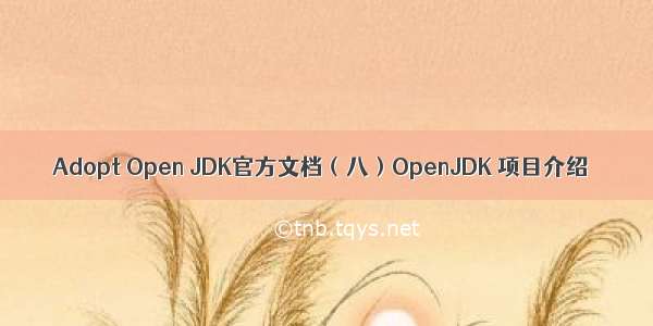 Adopt Open JDK官方文档（八）OpenJDK 项目介绍