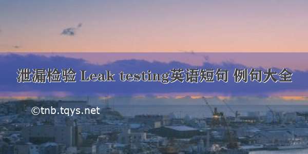 泄漏检验 Leak testing英语短句 例句大全