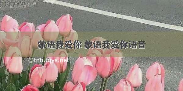 蒙语我爱你 蒙语我爱你语音