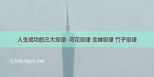 人生成功的三大定律: 荷花定律 金蝉定律 竹子定律