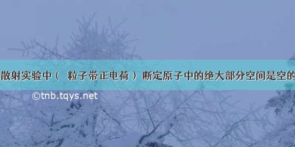 卢瑟福在α散射实验中（α粒子带正电荷） 断定原子中的绝大部分空间是空的 他的依据