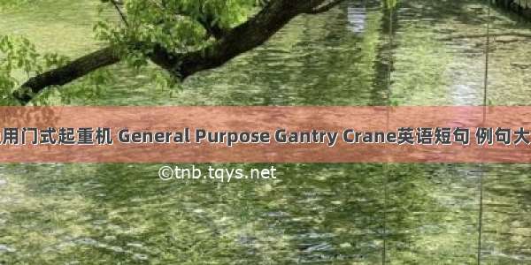 通用门式起重机 General Purpose Gantry Crane英语短句 例句大全