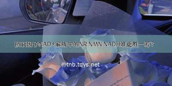 抗衰因子NAD+家族中的NR NMN NADH谁更胜一筹？