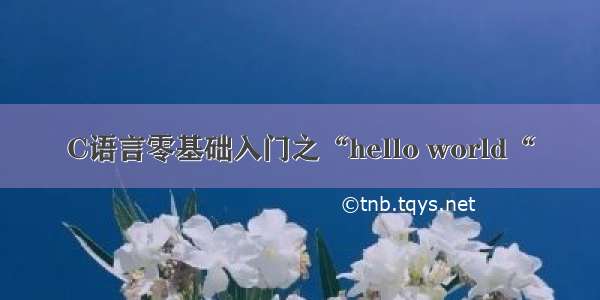 C语言零基础入门之“hello world“