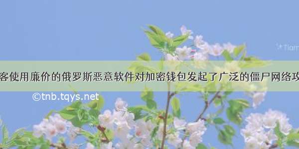 黑客使用廉价的俄罗斯恶意软件对加密钱包发起了广泛的僵尸网络攻击