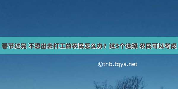 春节过完 不想出去打工的农民怎么办？这3个选择 农民可以考虑