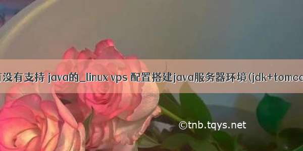 vps服务器有没有支持 java的_linux vps 配置搭建java服务器环境(jdk+tomcat+mysql)