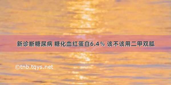 新诊断糖尿病 糖化血红蛋白6.4％ 该不该用二甲双胍