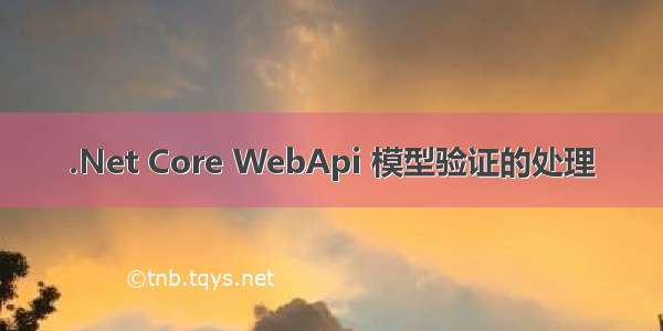 .Net Core WebApi 模型验证的处理