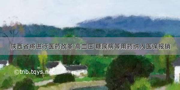 陕西省将进行医药改革 高血压 糖尿病等用药纳入医保报销