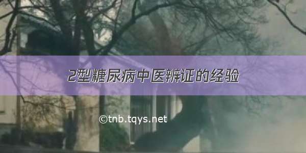 2型糖尿病中医辨证的经验