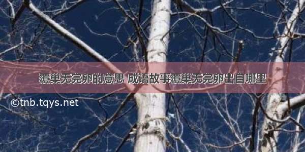 覆巢无完卵的意思 成语故事覆巢无完卵出自哪里