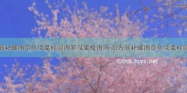 如何做南方滋补螺肉章鱼淡菜桂圆肉罗汉果瘦肉汤 南方滋补螺肉章鱼淡菜桂圆肉罗汉果瘦