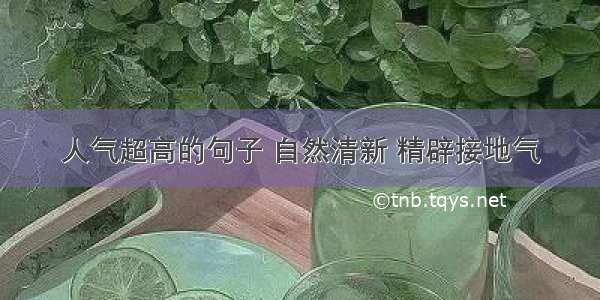 人气超高的句子 自然清新 精辟接地气