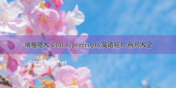 细胞肥大 Cell hypertrophy英语短句 例句大全