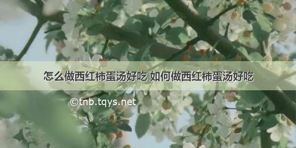 怎么做西红柿蛋汤好吃 如何做西红柿蛋汤好吃