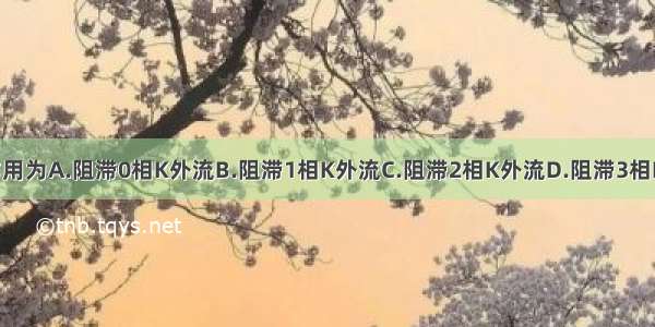 胺碘酮主要作用为A.阻滞0相K外流B.阻滞1相K外流C.阻滞2相K外流D.阻滞3相K外流E.阻滞4