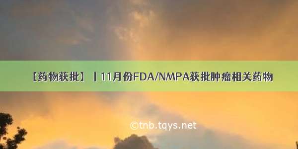 【药物获批】丨11月份FDA/NMPA获批肿瘤相关药物