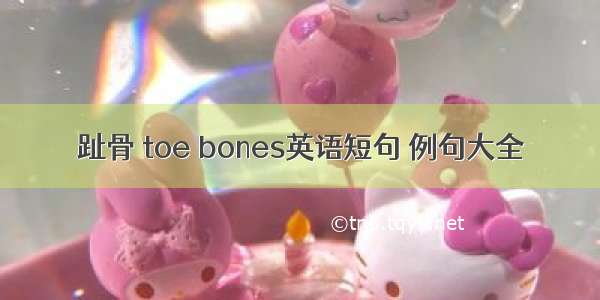 趾骨 toe bones英语短句 例句大全