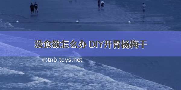 没食欲怎么办 DIY开胃杨梅干