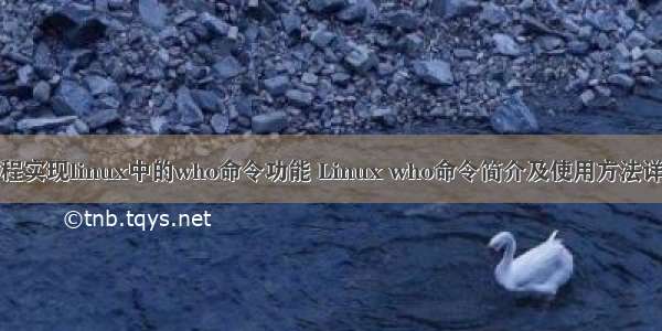 编程实现linux中的who命令功能 Linux who命令简介及使用方法详解