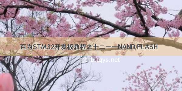 百为STM32开发板教程之十二——NAND FLASH