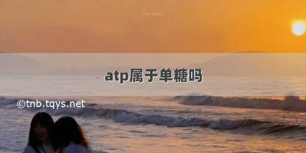 atp属于单糖吗