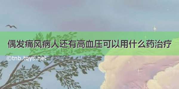 偶发痛风病人还有高血压可以用什么药治疗