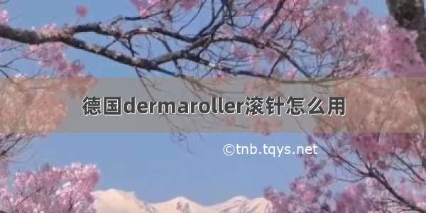 德国dermaroller滚针怎么用