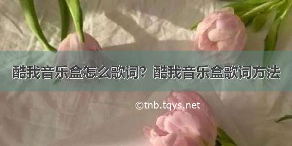 酷我音乐盒怎么歌词？酷我音乐盒歌词方法