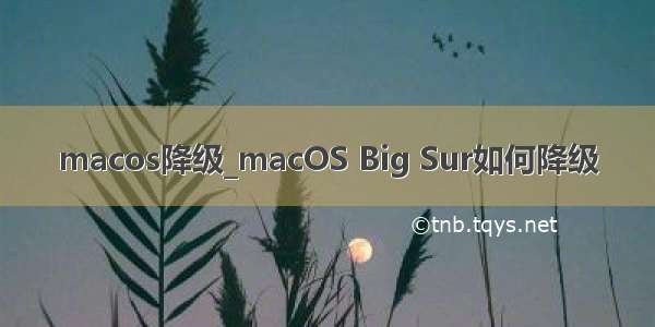 macos降级_macOS Big Sur如何降级