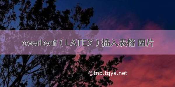 overleaf（LATEX）插入表格 图片