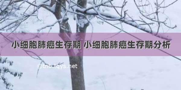 小细胞肺癌生存期 小细胞肺癌生存期分析