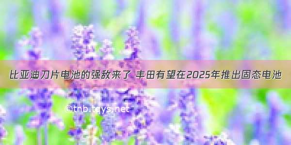 比亚迪刀片电池的强敌来了 丰田有望在2025年推出固态电池