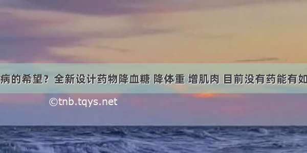 治愈糖尿病的希望？全新设计药物降血糖 降体重 增肌肉 目前没有药能有如此多好处