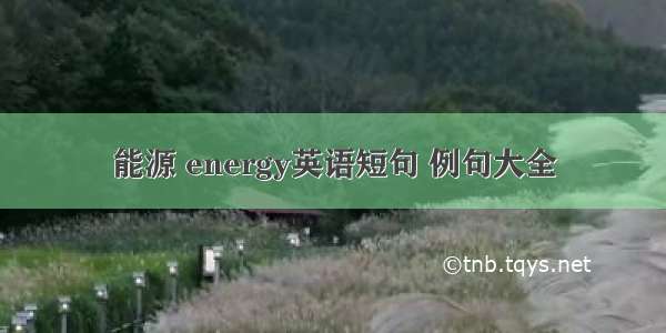 能源 energy英语短句 例句大全