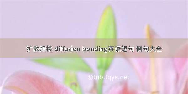 扩散焊接 diffusion bonding英语短句 例句大全