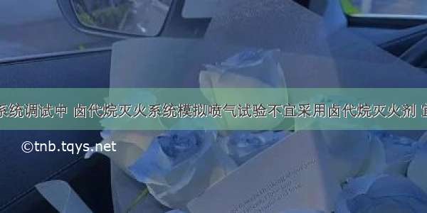 气体灭火系统调试中 卤代烷灭火系统模拟喷气试验不宜采用卤代烷灭火剂 宜采用（　　