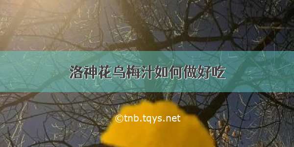 洛神花乌梅汁如何做好吃