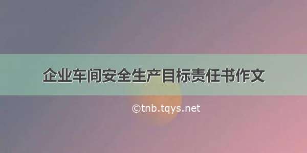 企业车间安全生产目标责任书作文