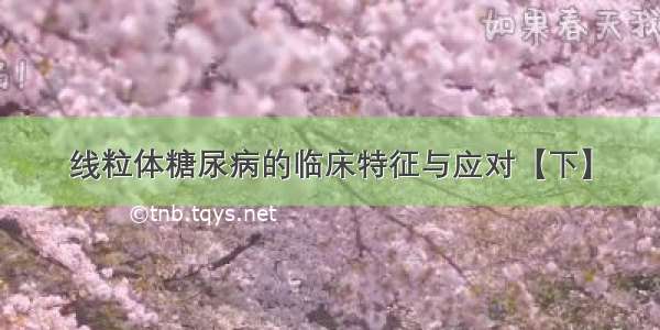 线粒体糖尿病的临床特征与应对【下】