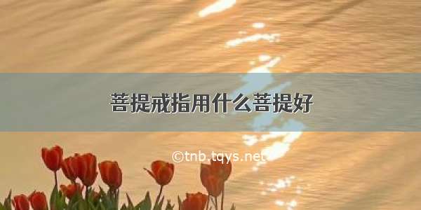 菩提戒指用什么菩提好