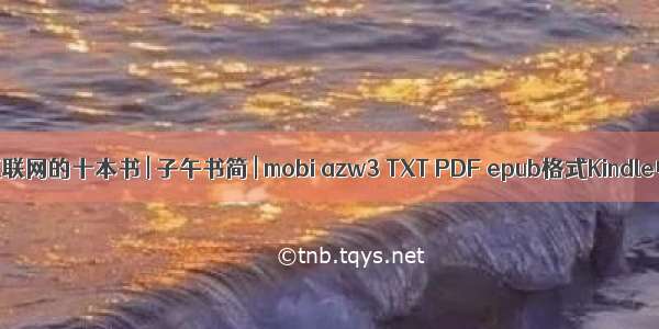 读懂互联网的十本书 | 子午书简 | mobi azw3 TXT PDF epub格式Kindle电...