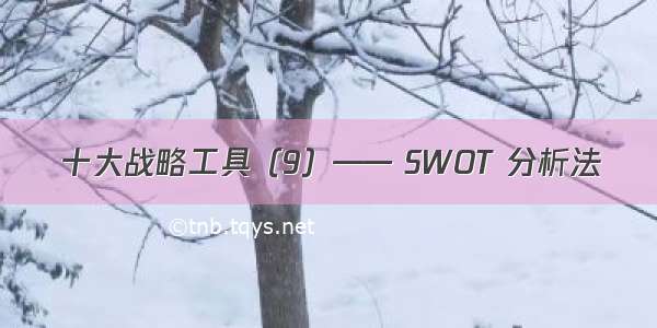 十大战略工具（9）—— SWOT 分析法