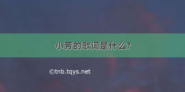 小芳的歌词是什么?